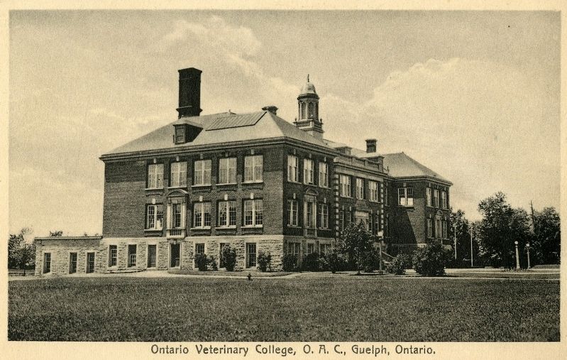 The Ontario Veterinary College, 1920s. Click for full size. The Ontario Veterinary College, 1920s image. Click for full size.
