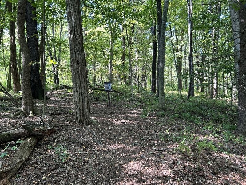 Windmill Marker From a Distance image. Click for full size.