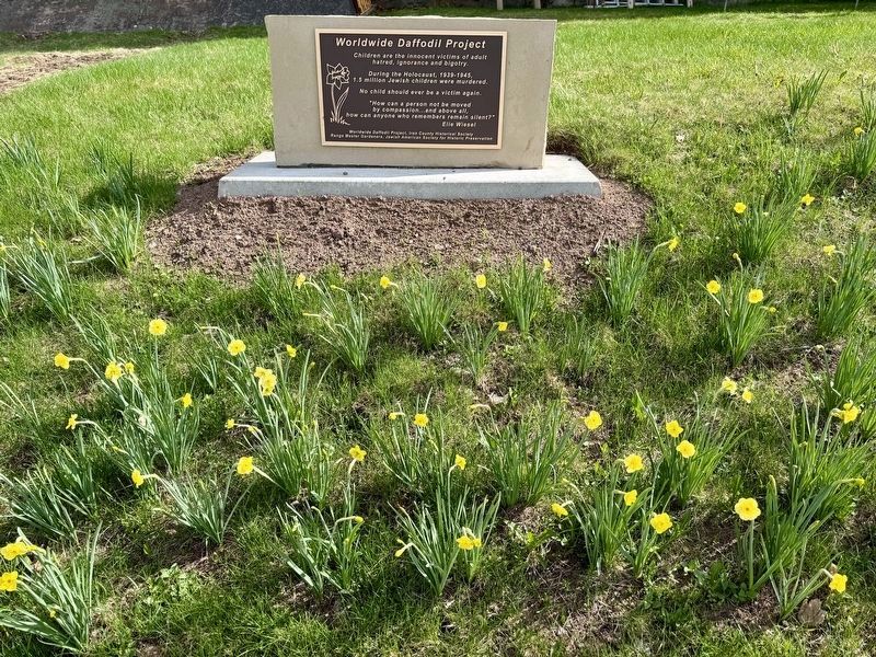 Worldwide Daffodil Project Marker. Click for full size. Worldwide Daffodil Project Marker image. Click for full size.