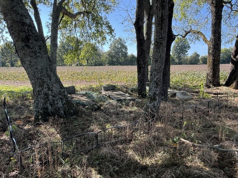 Davie Cemetery image. Click for full size.