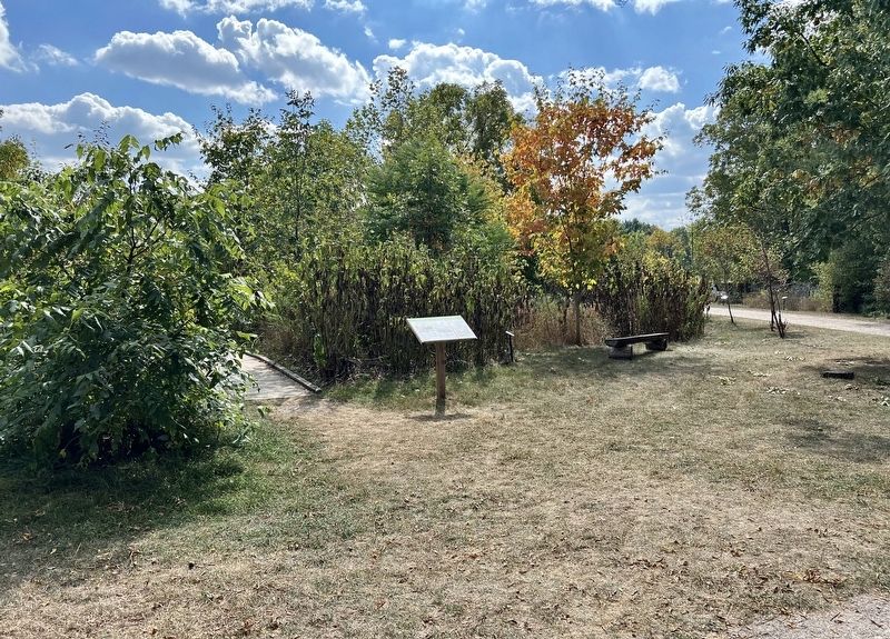 Impact of European Settlement Marker. Click for full size. Impact of European Settlement Marker image. Click for full size.