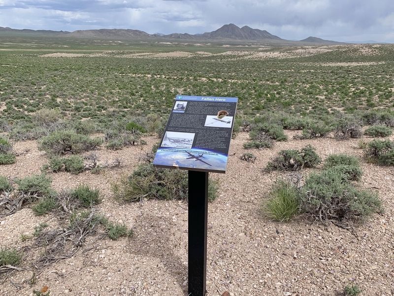 Fallen Hero Marker. Click for full size. Fallen Hero Marker image. Click for full size.