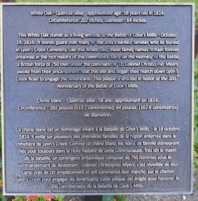 White Oak at Lyon's Creek Cemetery - Marker. Click for full size. White Oak at Lyon's Creek Cemetery - Marker image. Click for full size.