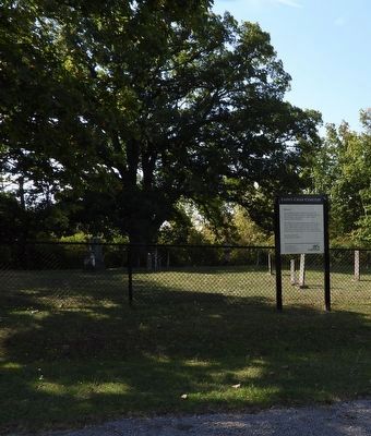 White Oak at Lyon's Creek Cemetery. Click for full size. White Oak at Lyon's Creek Cemetery image. Click for full size.