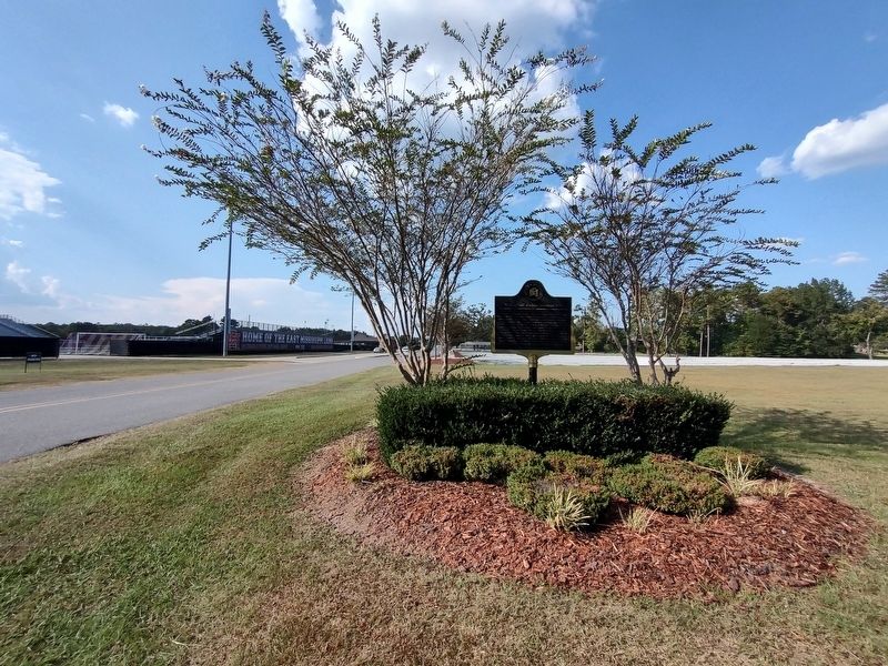 William "Bill" Buckner Memorial Drive Marker image. Click for full size.