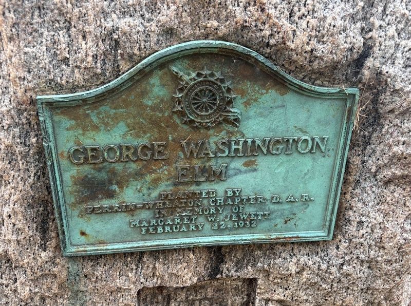 George Washington Elm Marker. Click for full size. George Washington Elm Marker image. Click for full size.