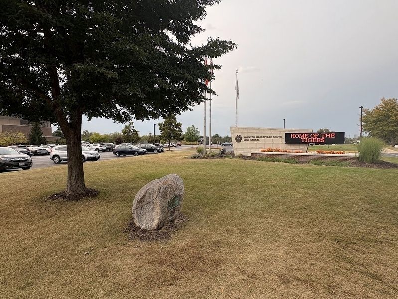 George Washington Elm in front of Wheaton Warrenville South High School. Click for full size. George Washington Elm in front of Wheaton Warrenville South High School image. Click for full size.