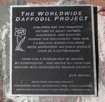 World Wide Daffodil Project. Click for full size. World Wide Daffodil Project image. Click for full size.