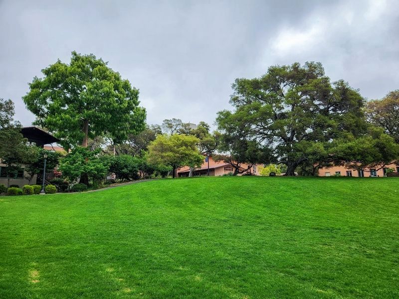 Faculty Glade image. Click for full size.