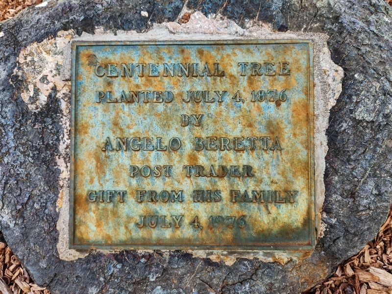 Centennial Tree Marker image. Click for full size.