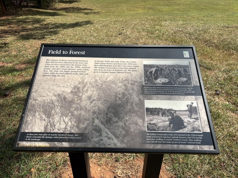 Field to Forest Marker image. Click for full size.