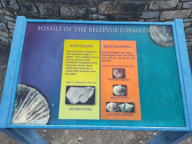 Welcome To Trammel Fossil Park! Marker. Click for full size. Welcome To Trammel Fossil Park! Marker image. Click for full size.