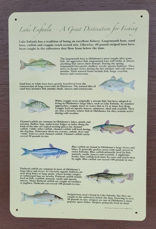 Welcome to Lake Eufaula, Oklahoma's Largest Lake Marker - Second Panel. Click for full size. Welcome to Lake Eufaula, Oklahoma's Largest Lake Marker - Second Panel image. Click for full size.