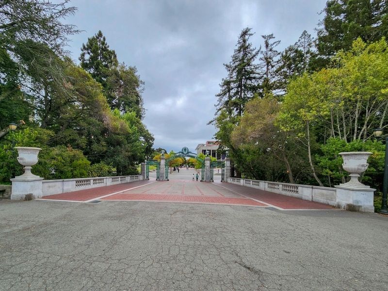 Sather Bridge image. Click for full size.