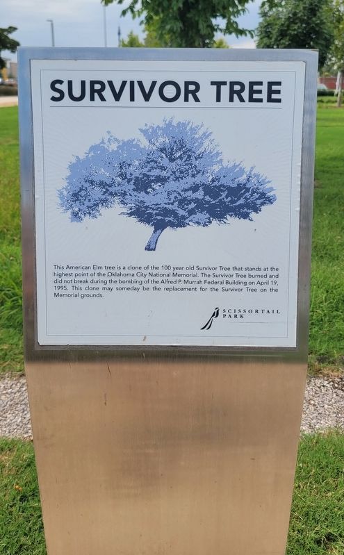 Survivor Tree Marker. Click for full size. Survivor Tree Marker image. Click for full size.