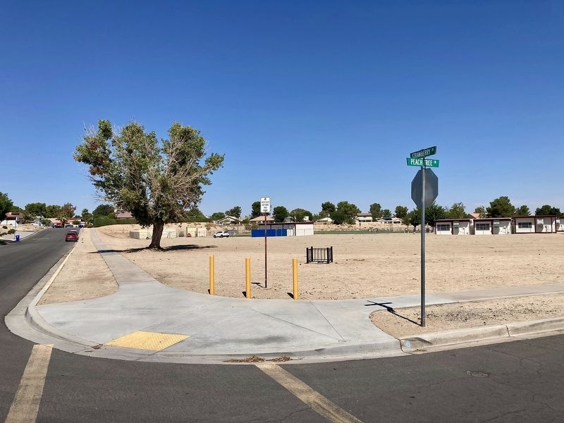 100 Year Time Capsule Marker image. Click for full size.