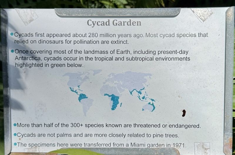 Cycad Garden Marker image. Click for full size.