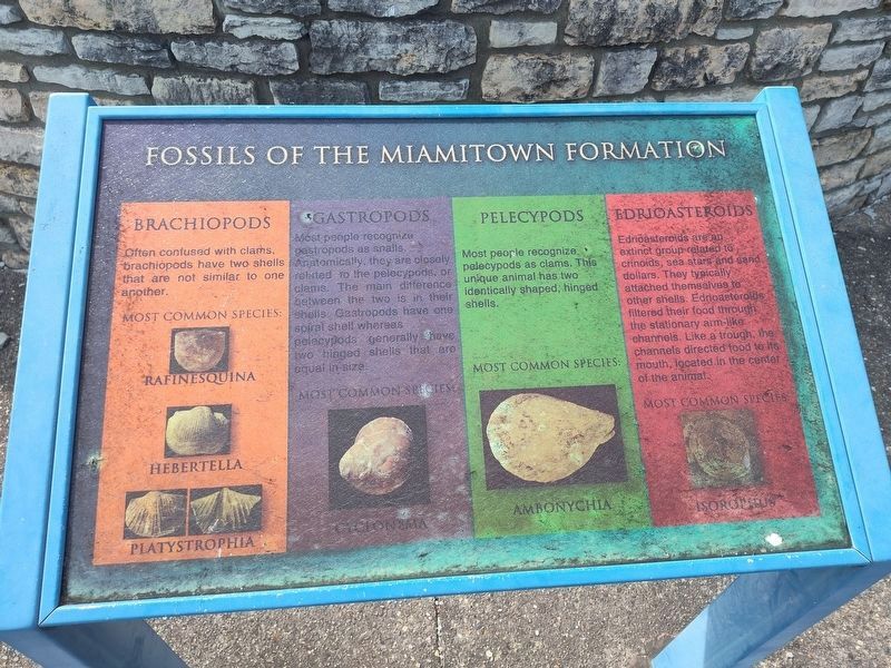 Welcome To Trammel Fossil Park! Marker. Click for full size. Welcome To Trammel Fossil Park! Marker image. Click for full size.