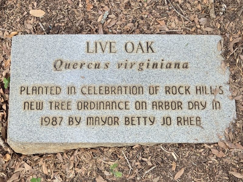 Live Oak Marker. Click for full size. Live Oak Marker image. Click for full size.