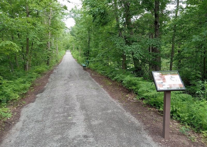 Milford Mine Rail Loop Marker on a trail in Milford Mine Memorial Park. Click for full size. Milford Mine Rail Loop Marker on a trail in Milford Mine Memorial Park image. Click for full size.