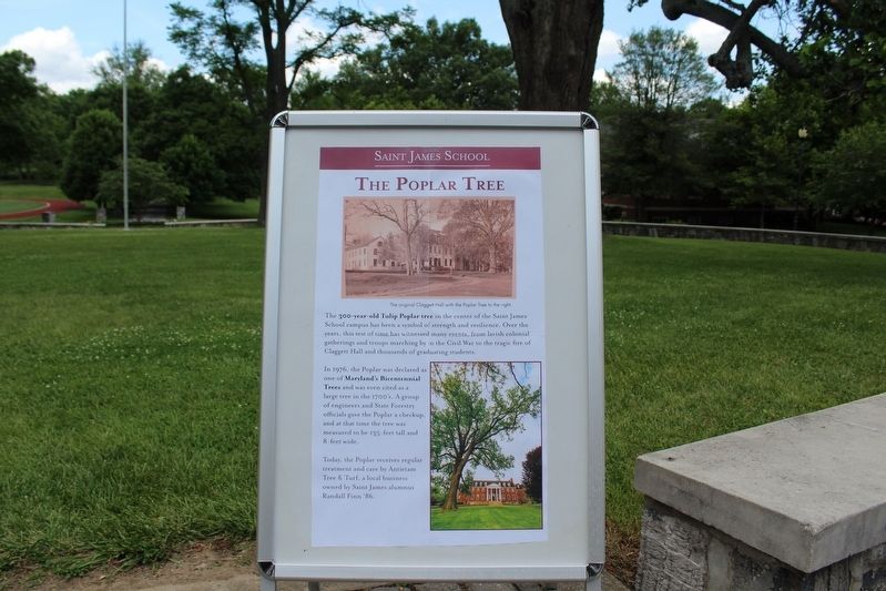 The Poplar Tree Marker image. Click for full size.