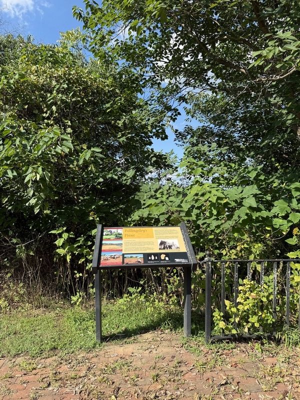 Billingsley's Point Marker image. Click for full size.