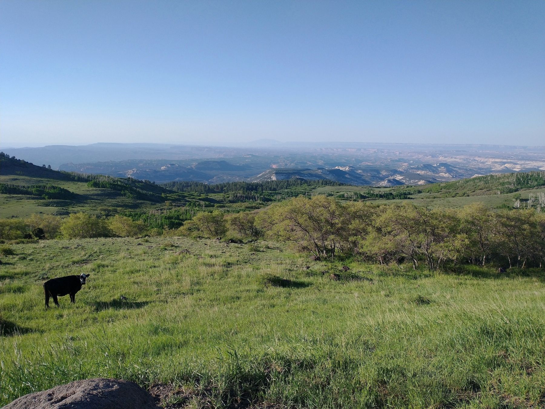 View from Larb Hollow Overlook. Click for full size. View from Larb Hollow Overlook image. Click for full size.