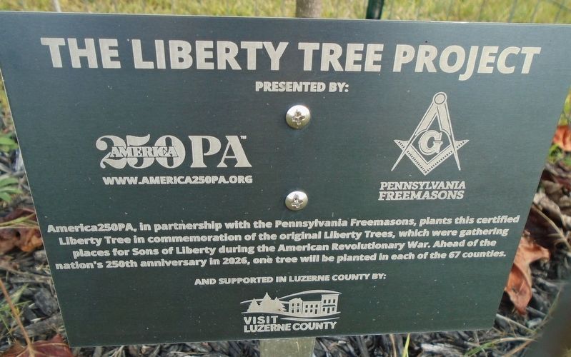 Luzerne County Liberty Tree Marker image. Click for full size.