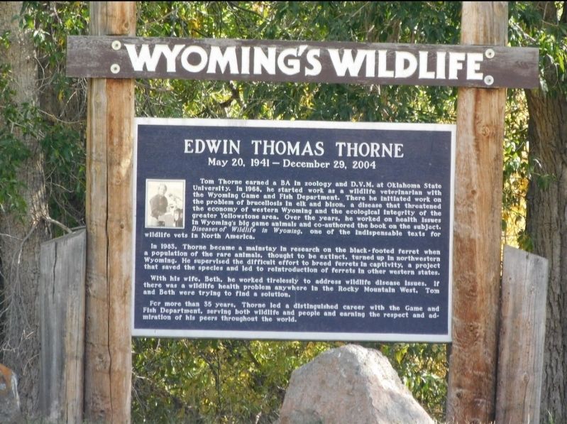 Edwin Thomas Thorne Marker image. Click for full size.