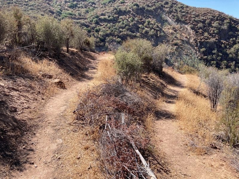 Trail to the Markers image. Click for full size.