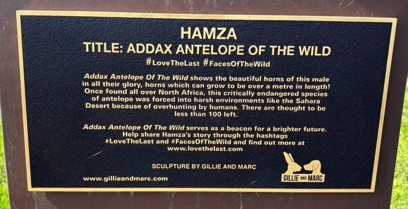 Hamza Marker. Click for full size. Hamza Marker image. Click for full size.
