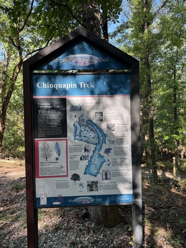 Chinquapin Trek Marker image. Click for full size.