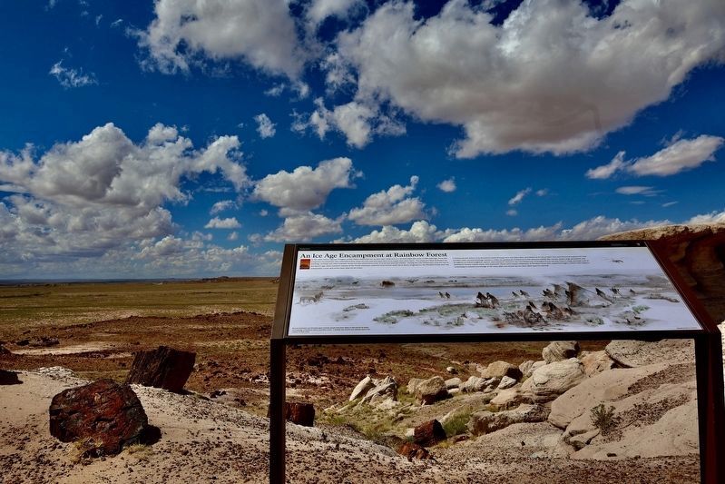 An Ice Age Encampment at Rainbow Forest Marker image. Click for full size.