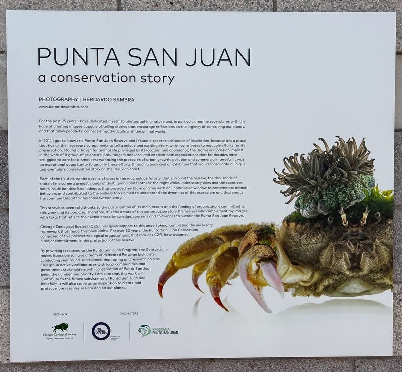 Punta San Juan Marker image. Click for full size.