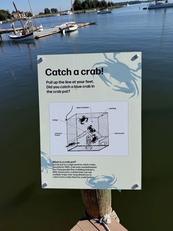 Catch a crab! Marker. Click for full size. Catch a crab! Marker image. Click for full size.