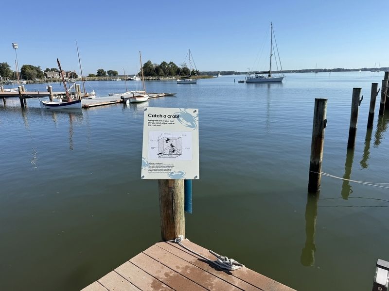 Catch a crab! Marker. Click for full size. Catch a crab! Marker image. Click for full size.
