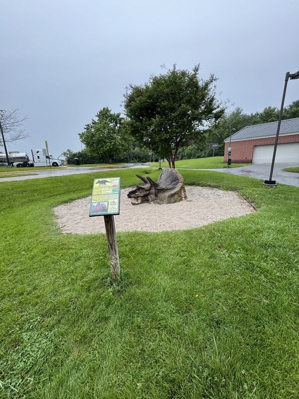 Triceratops Marker. Click for full size. Triceratops Marker image. Click for full size.