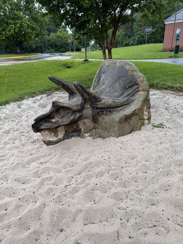 Triceratops. Click for full size. Triceratops image. Click for full size.