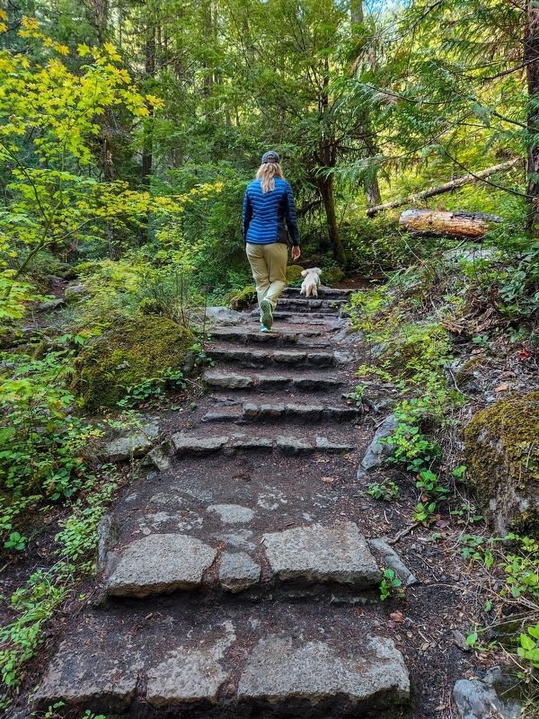Toketee Falls Trail. Click for full size. Toketee Falls Trail image. Click for full size.