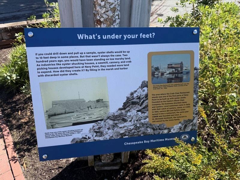 What's under your feet? Marker. Click for full size. What's under your feet? Marker image. Click for full size.