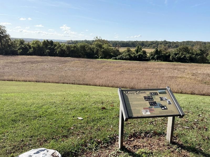 Mount Calvert, A Confluence of Three Cultures Marker. Click for full size. Mount Calvert, A Confluence of Three Cultures Marker image. Click for full size.