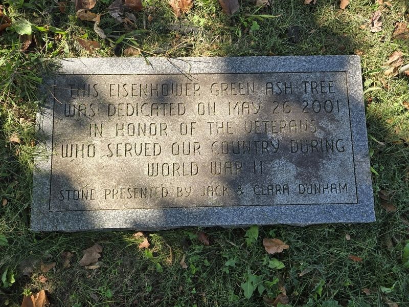 World War II Tree Memorial image. Click for full size.
