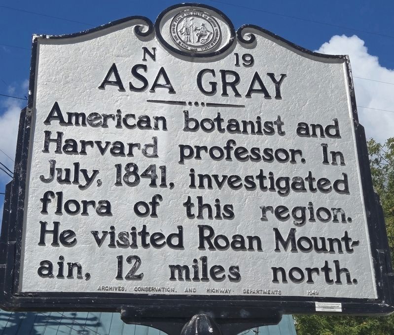 Asa Gray Marker image. Click for full size.