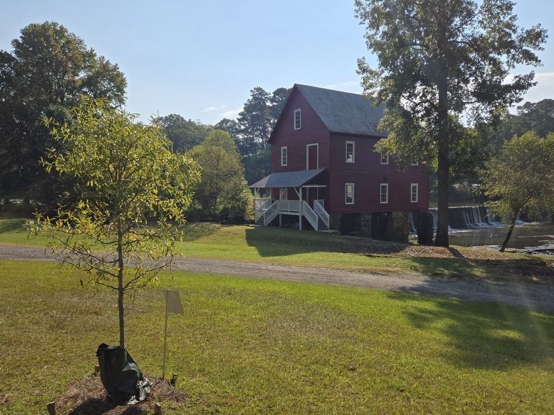 The Liberty Tree and Marker at Starr's Mill image. Click for full size.