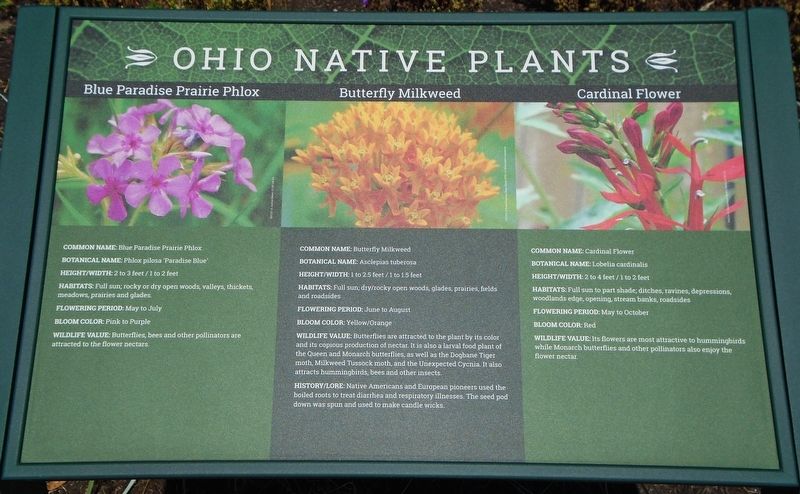 Ohio Native Plants Marker image. Click for full size.