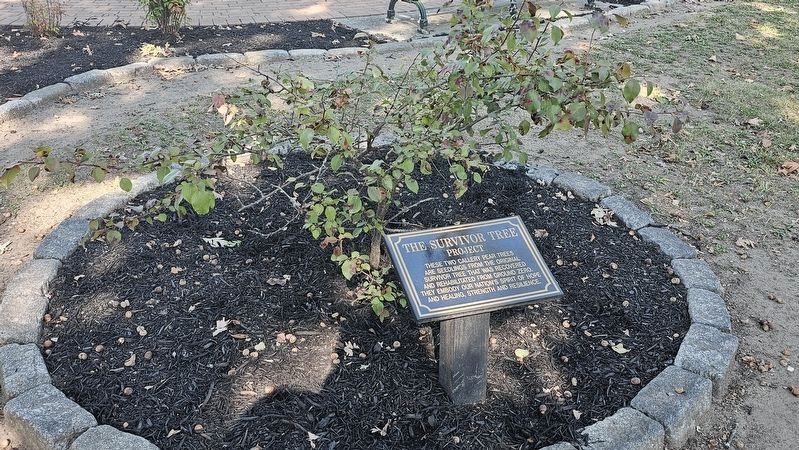 The Survivor Tree Project image. Click for full size.