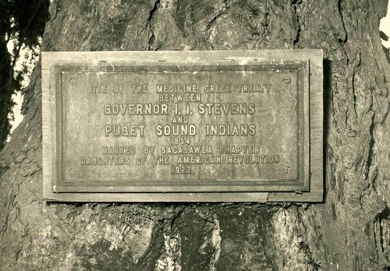 Medicine Creek Treaty Tree Marker. Click for full size. Medicine Creek Treaty Tree Marker image. Click for full size.