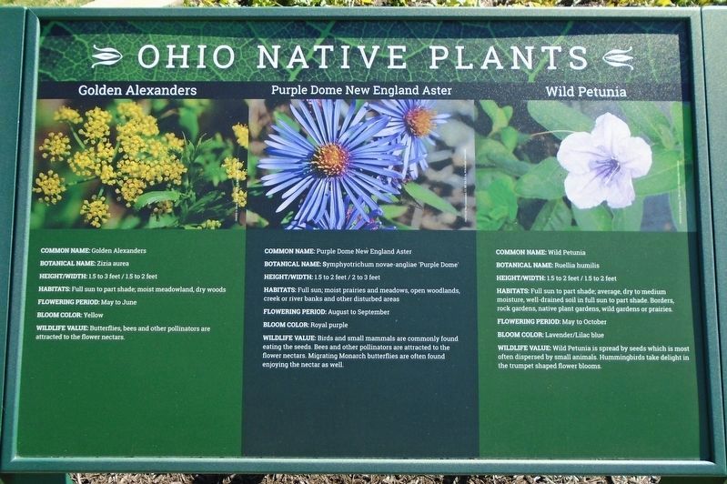 Nearby Ohio Native Plants Marker image. Click for full size.
