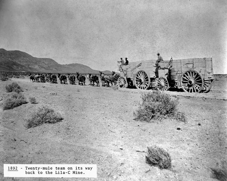 Twenty-Mule team on its way to the Lila-C mine image. Click for full size.