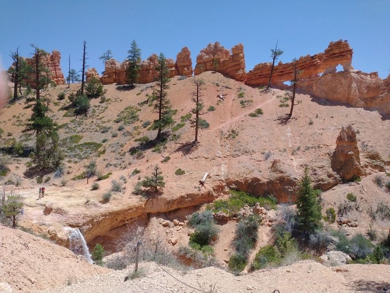 Tropic Ditch Falls. Click for full size. Tropic Ditch Falls image. Click for full size.
